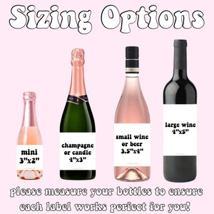 Pu&ograve; includere: Quattro bottiglie con etichette che mostrano diverse dimensioni per vino, champagne o birra. Le etichette mostrano le dimensioni in pollici. Le etichette recitano "mini 3"x2"", "champagne o candela 4"x3"", "vino piccolo o birra 3,5"x4"" e "vino grande 4"x5"".