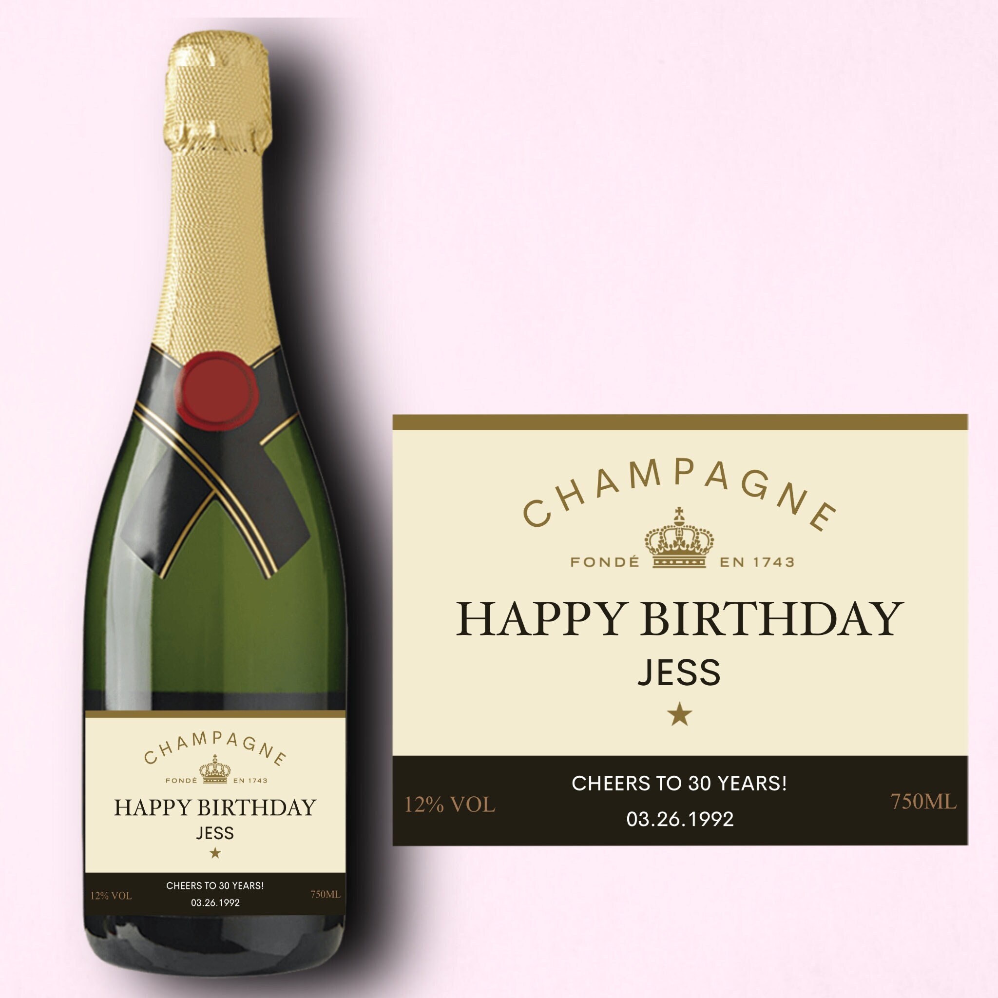 Moet & Chandon Moët & Chandon Rosé Impérial Flamingo Mini Set