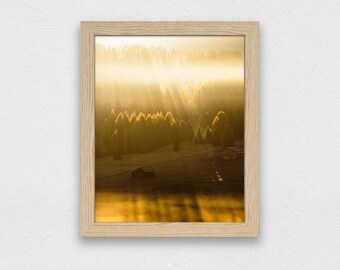 Goldene Lärchen, Sonnenuntergang, Dolomiten Italien, Digitaldruck, Wandkunst