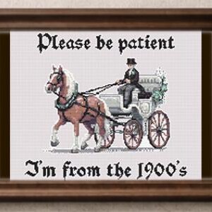 Gen X - Excuse us, we're from the 1900's - Cross Stitch Pattern - PDF Download