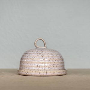 Supernova Speckled Butter Dish #1