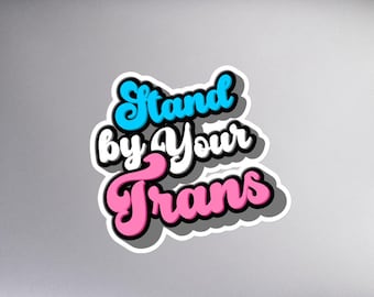 Stand by Your Trans: Die-cut stickers - funny
