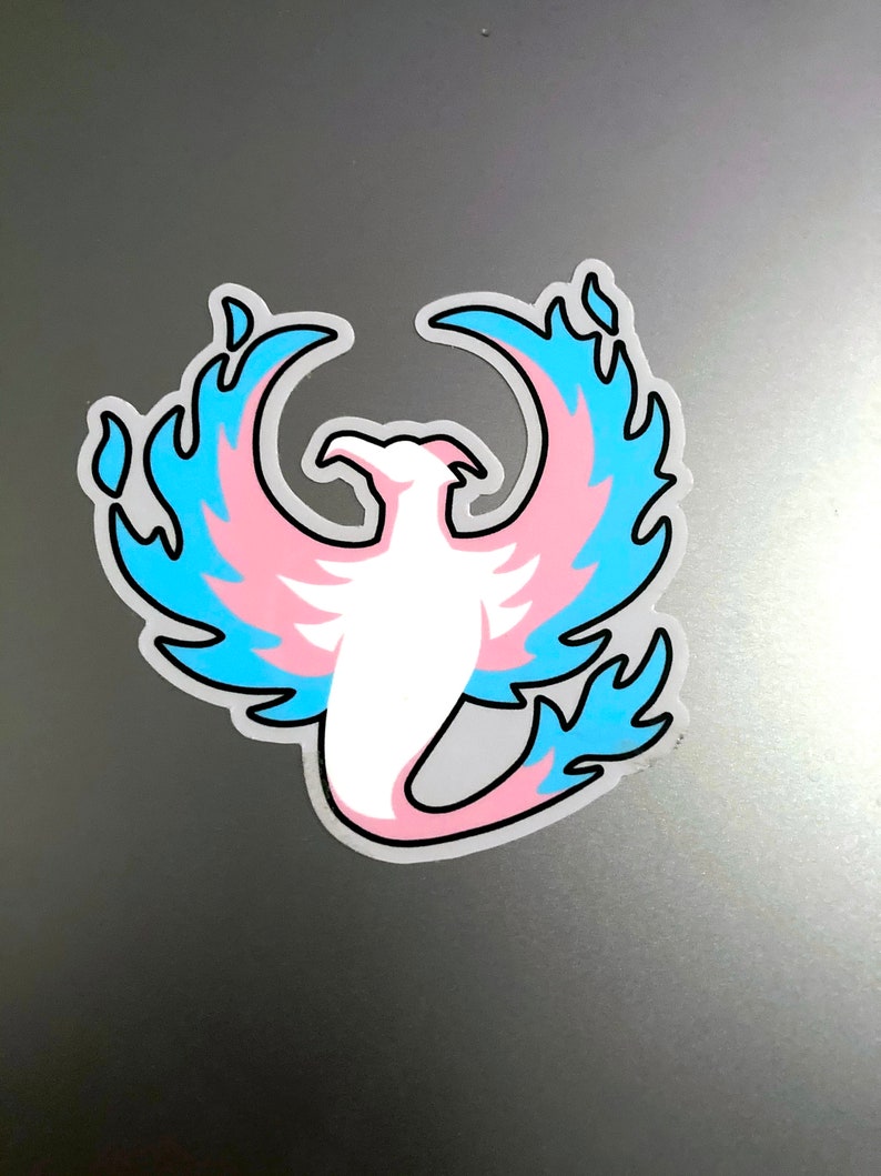 Transgender Phoenix Sticker 3x3, trans pride logo from The Transgender Show image 1