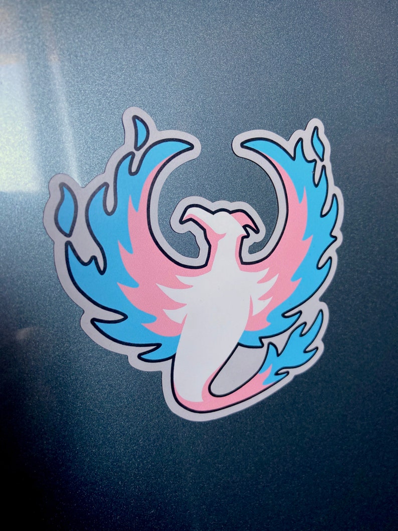 Transgender Phoenix Magnet 3x3, trans pride logo from The Transgender Show image 2