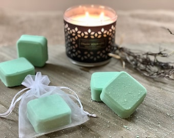 Aromatherapy - Peppermint Eucalyptus - Shower Steamers - 2 Pack