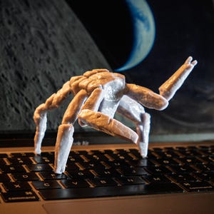Könnte beinhalten: Eine hellfarbene, gegliederte, insektenartige Skulptur steht auf einer Laptop-Tastatur. Der Hintergrund zeigt ein dunkles Bild des Mondes und eines halbmondförmigen Planeten. Die Skulptur hat mehrere gegliederte Beine und einen segmentierten Körper.