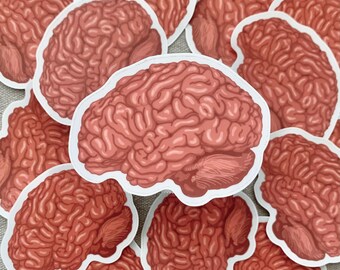 Brain Sticker | Waterproof Sticker | Anatomy Sticker | Science Themed Sticker