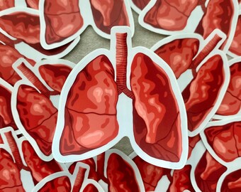 Lungs Sticker | Waterproof Sticker | Anatomy Sticker | Science Themed Sticker