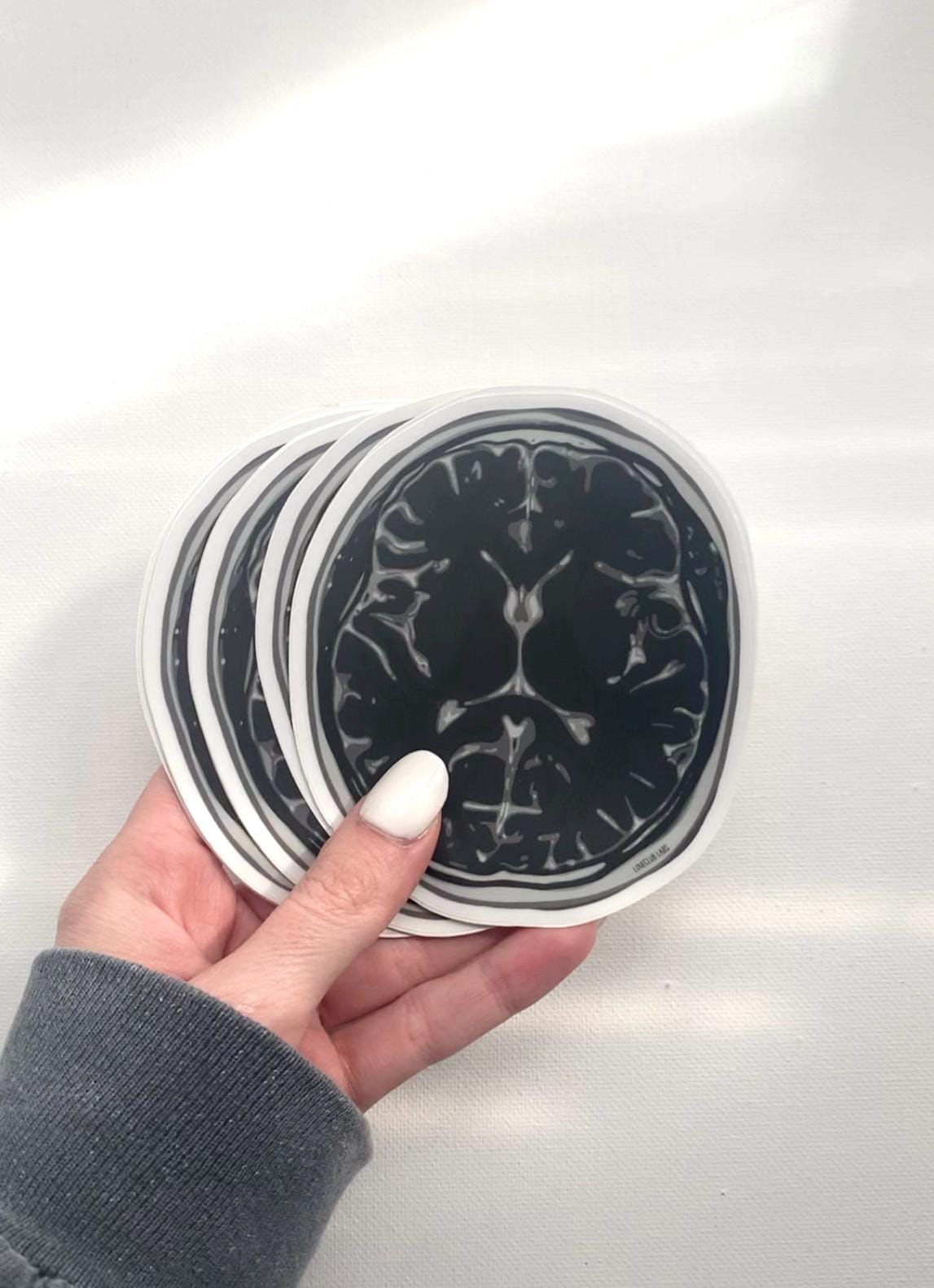 MRI Brain Scan Sticker | Waterproof Sticker | Neuroscience Themed ...