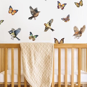 Butterfly and Birds Wall Decals for Girls Room – Colorful Nursery Wall Stickers, Butterfly Mural Art for Kids Bedroom Decor
