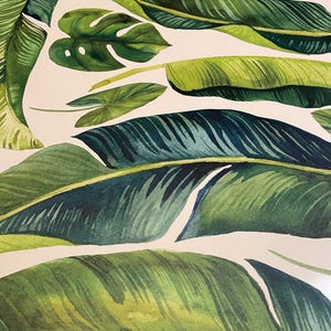 May include: A close-up of a tropical leaf pattern with green and white tones. The leaves are arranged in a repeating pattern, creating a sense of depth and texture.