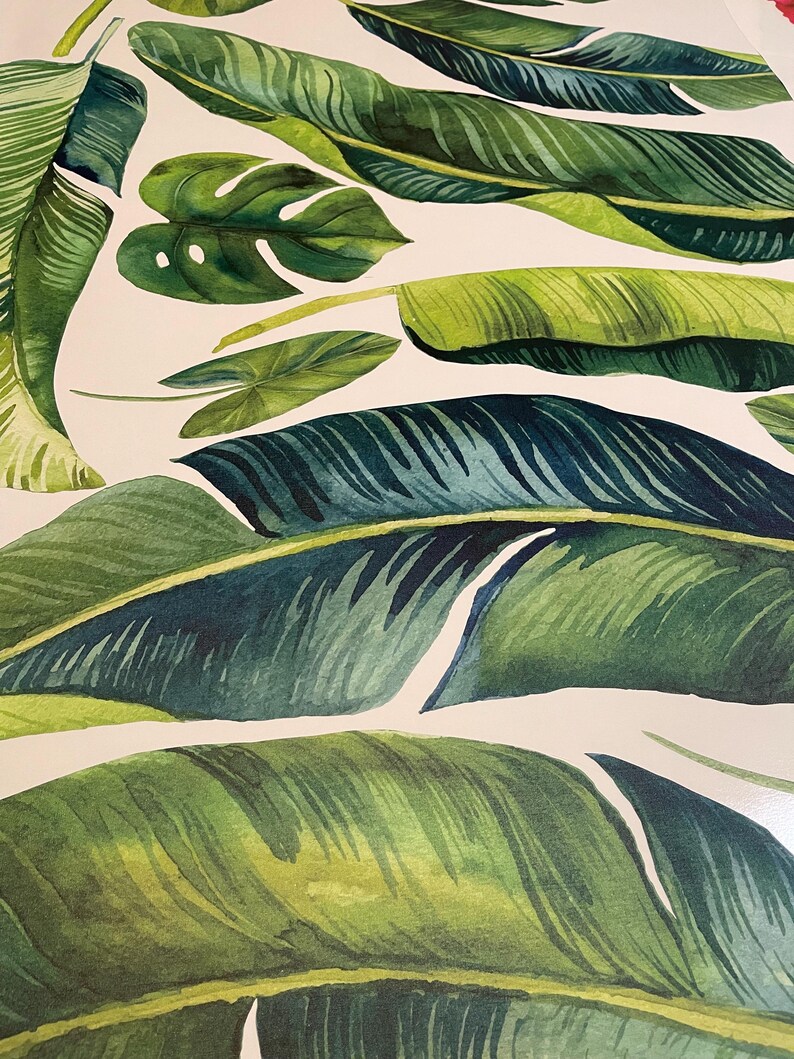 May include: A close-up of a tropical leaf pattern with green and white tones. The leaves are arranged in a repeating pattern, creating a sense of depth and texture.