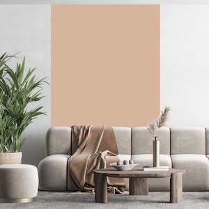 May include: A light beige sofa with a brown throw blanket and a wooden coffee table with a vase of dried flowers. The sofa is in front of a wall with a light beige accent wall.