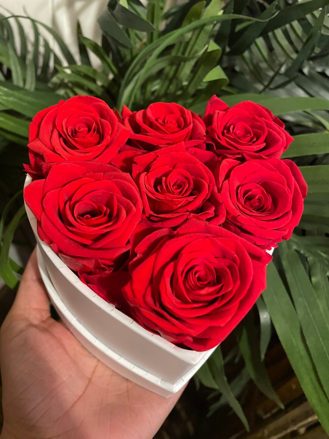 Eternal Rose Gift, Red Preserved Rose, Gift for Her, Proposal Gift