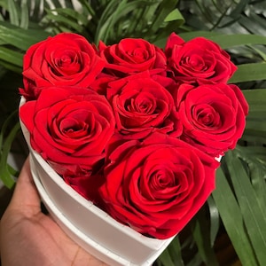 Eternal Rose gift, red Preserved Rose, Gift for Her, Proposal Gift, mothers day Gift, unique gifts, Birthday Present for Her, forever roses