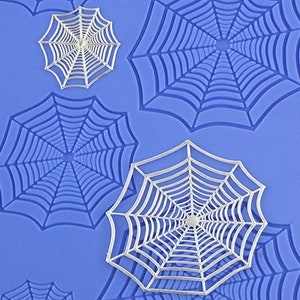 Delicate Element Texture - Spider Web