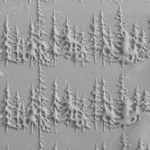 Könnte beinhalten: Ein graues und weißes Prägemuster mit einem sich wiederholenden Muster aus stilisierten Kiefern. Das Design erinnert an eine Winterwaldszene.