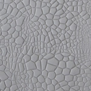 May include: A close-up of a gray textured surface with a repeating pattern of small, irregular shapes resembling a reptile's skin.