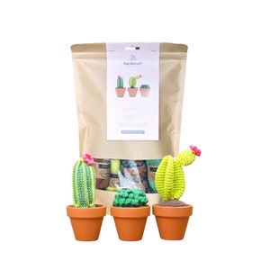 Cactus Crochet Kit - Cactus Gift - Amigurumi Cactus Crochet Kit - Crochet Kit - Gift for Crocheter - DIY Crochet Kit - Gift for Grandma