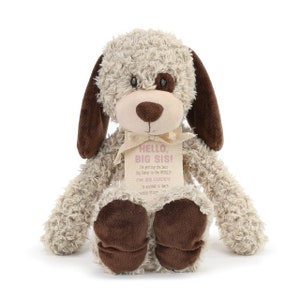 Bailey Boys Big Sister Top - Long Sleeves - Dog & Balloons & Gifts