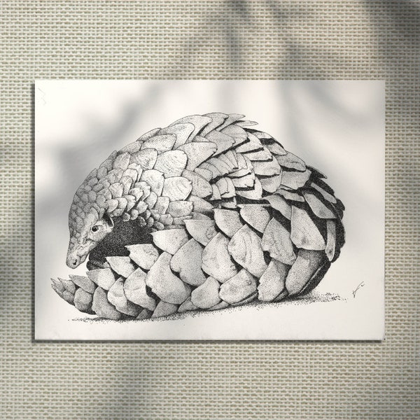 Pangolin -  décoration intérieure nature  - Illustration animale naturaliste vintage fait main - tirage limité - Graines d'idées Art