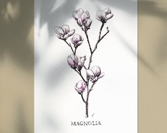 Magnolia - nature decoration - vintage handmade naturalist botanical illustration - limited edition - Seeds of Art ideas
