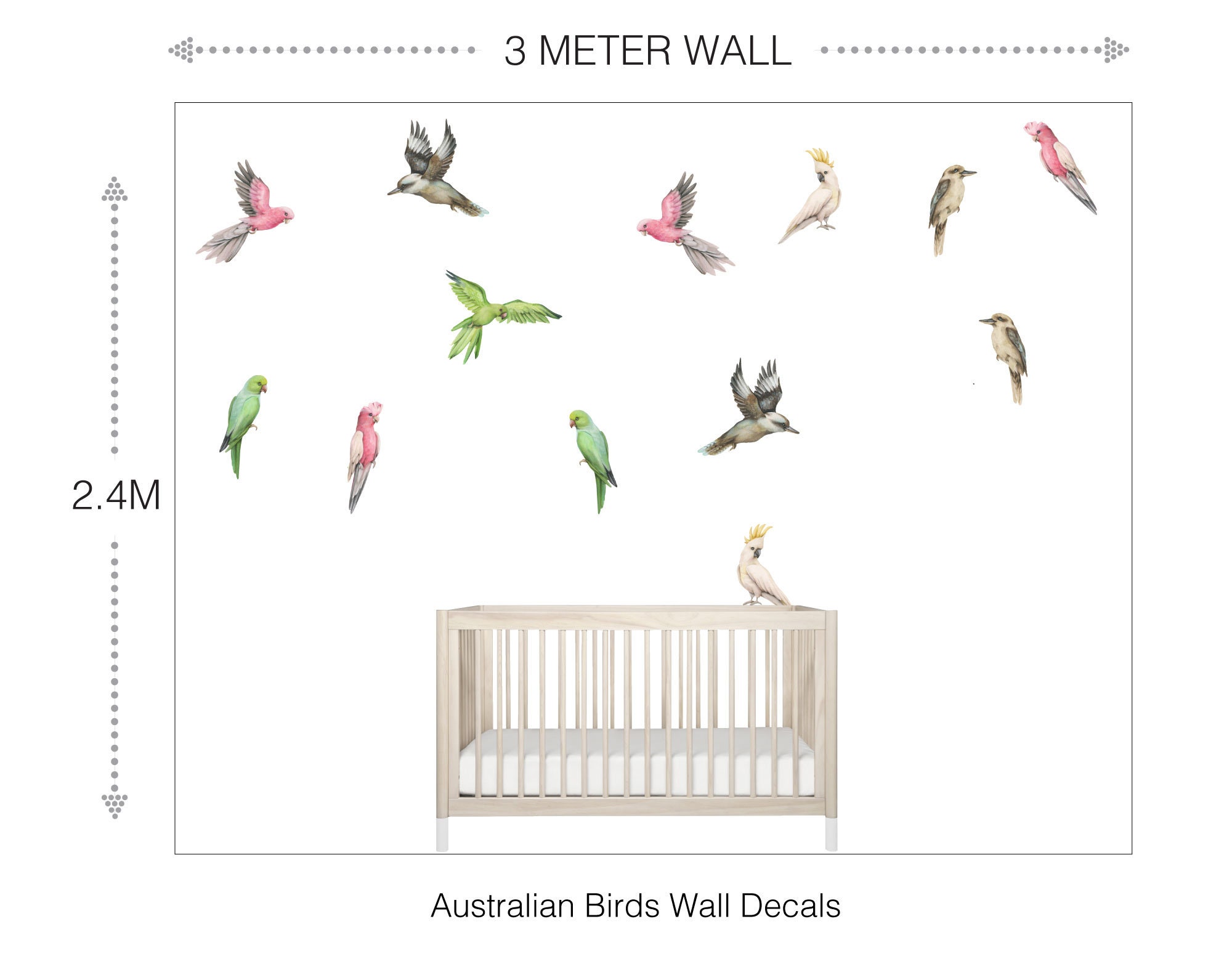 Australian Birds Wall Decals Etsy Australia