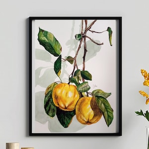 Original watercolor 11x16 inc.  Bright Branch with branch with yellow fruit quince. Botanical painting Painting watercolor wall decor