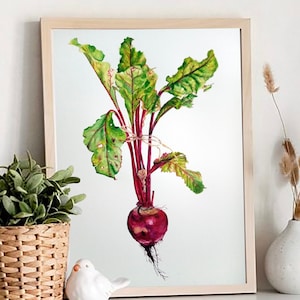 Puede incluir: Una pintura de acuarela de una remolacha con hojas verdes y una raíz roja. La remolacha está representada de forma realista y está enmarcada en un marco de madera claro.