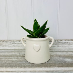 Small White House Plant Pot Hygge Homeware Planter with Handles Rustic White Pot with Embossed Heart White Bathroom Planter image 6