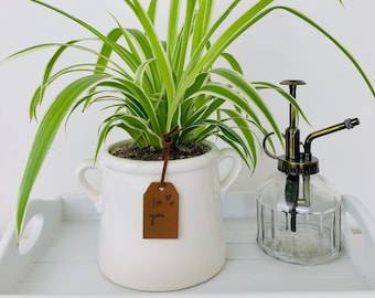 White Indoor Planter | White House Plant Pot | Hygge Homeware Planter | White Planter with Handles | Interior Home Decor | ZENHAUS INTERIORS