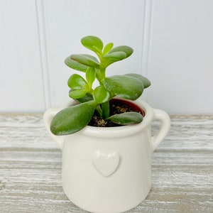 Small White House Plant Pot Hygge Homeware Planter with Handles Rustic White Pot with Embossed Heart White Bathroom Planter image 4