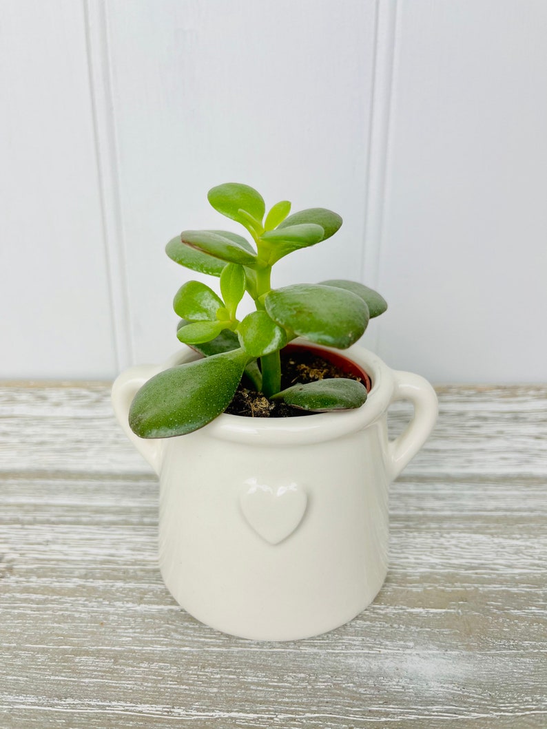 Small White House Plant Pot Hygge Homeware Planter with Handles Rustic White Pot with Embossed Heart White Bathroom Planter image 4