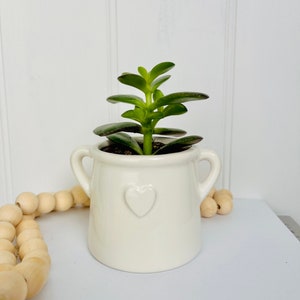 Small White House Plant Pot Hygge Homeware Planter with Handles Rustic White Pot with Embossed Heart White Bathroom Planter image 3