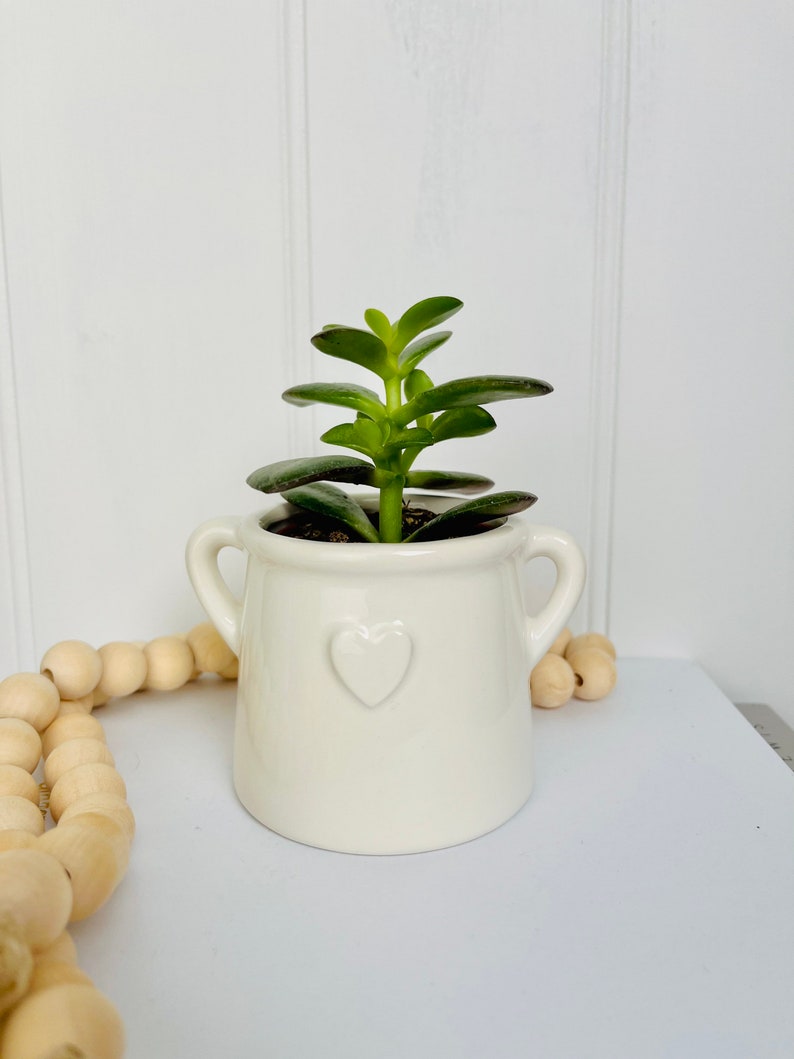 Small White House Plant Pot Hygge Homeware Planter with Handles Rustic White Pot with Embossed Heart White Bathroom Planter image 3