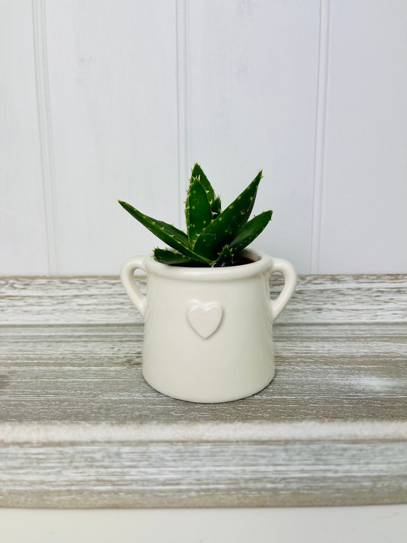 Small White House Plant Pot Hygge Homeware Planter with Handles Rustic White Pot with Embossed Heart White Bathroom Planter image 6