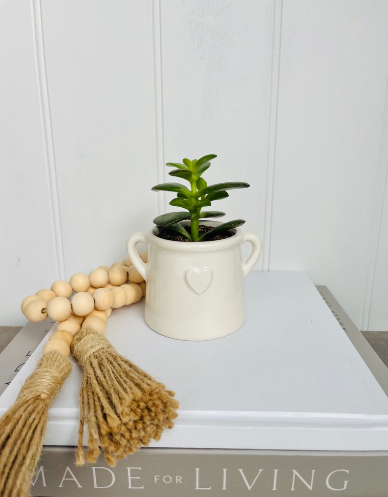 Small White House Plant Pot Hygge Homeware Planter with Handles Rustic White Pot with Embossed Heart White Bathroom Planter image 2