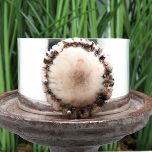 May include: A silver cuff bracelet with a round antler centerpiece. The antler is a light brown color with a white center and has small silver studs around the edge.