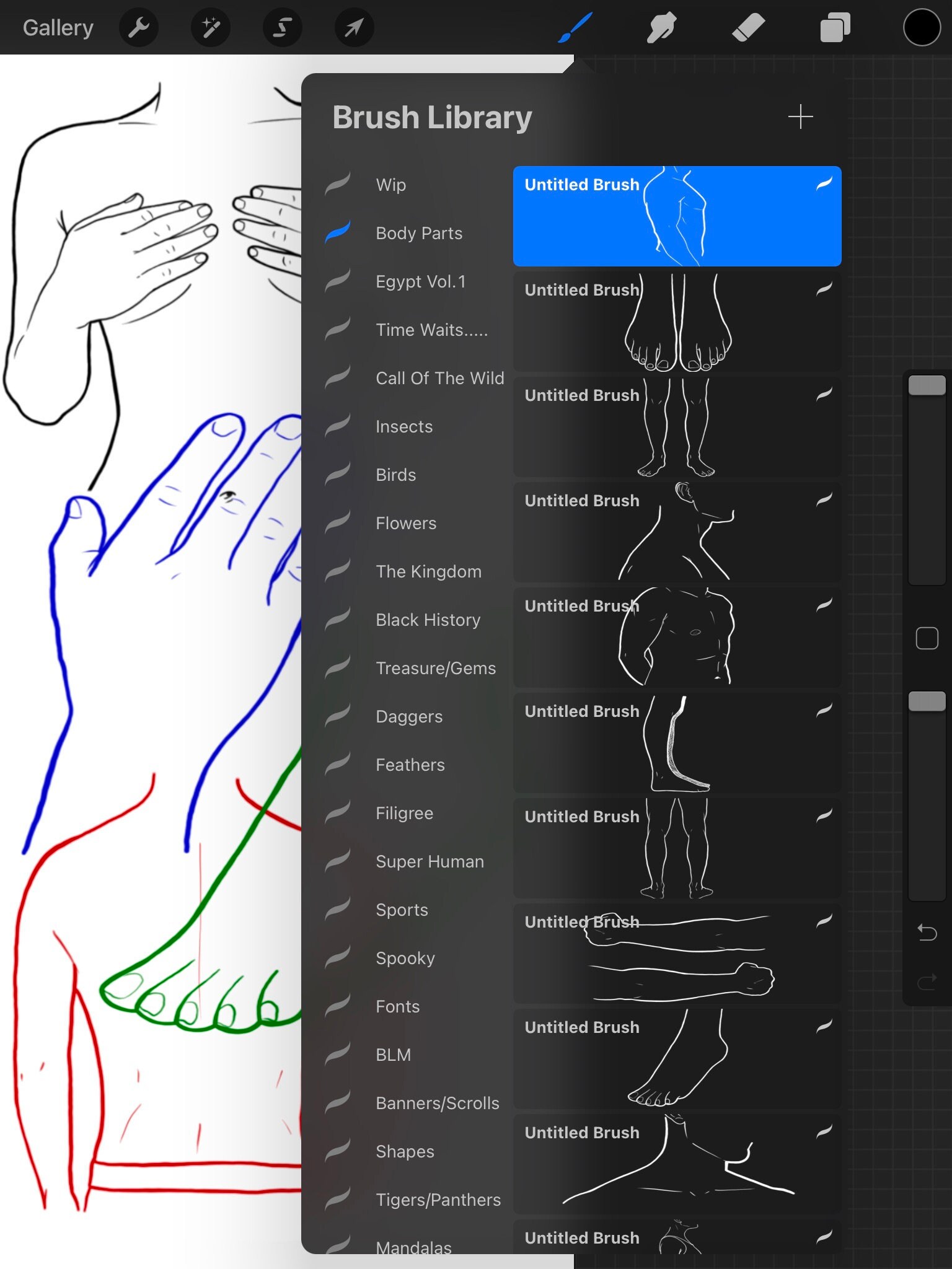 Body Parts procreate Brush Set Etsy