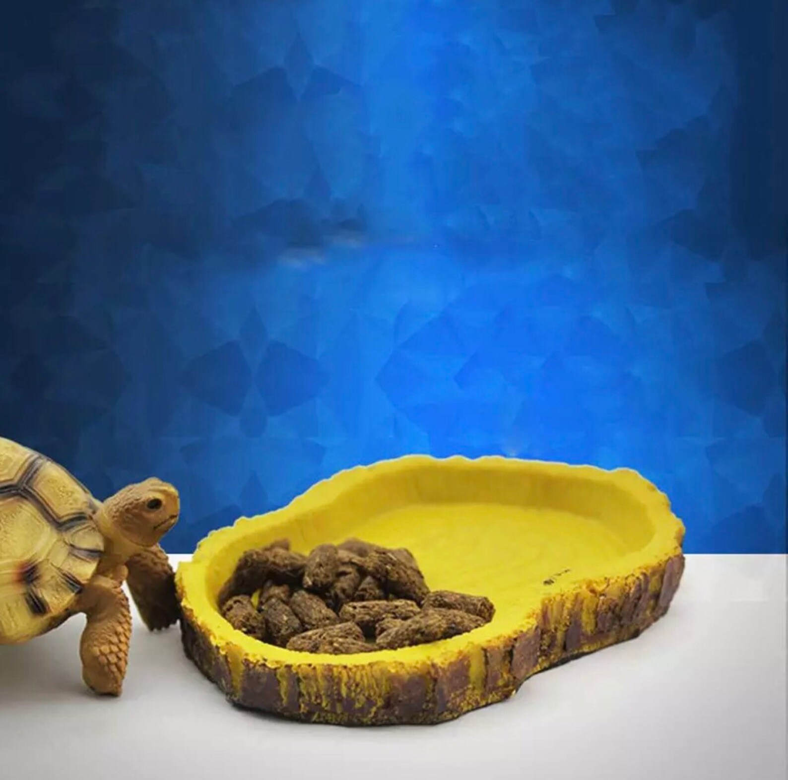 Reptile water dish for terrarium and vivariums nontoxic Etsy