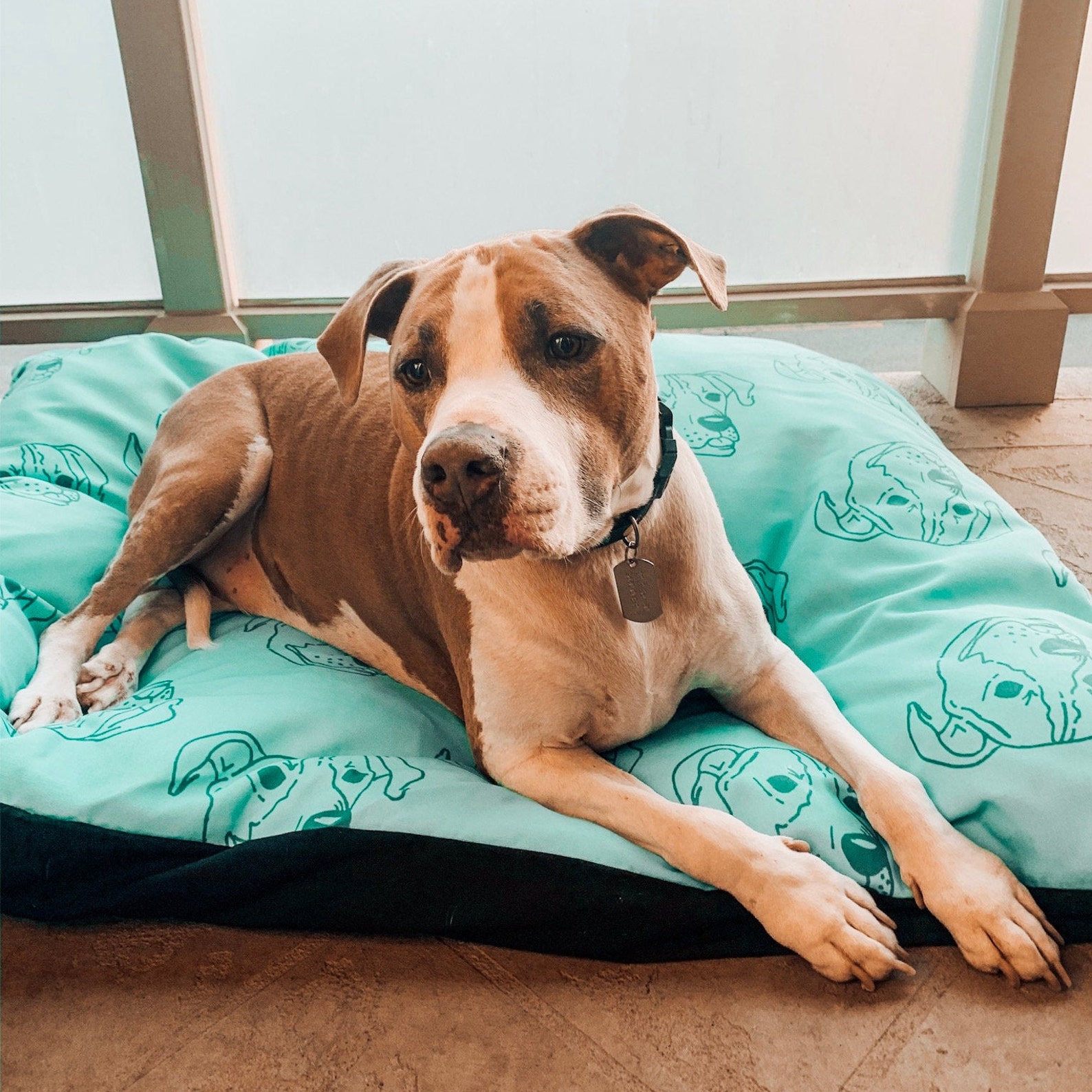 Pitbull Dog Beds Dog Pillow Outdoor Dog Beds Dog Cushion Etsy