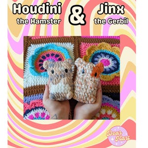 May include: Two small crocheted plush animals, a grey and white hamster and a tan and white gerbil, with black eyes. The text reads Houdini the Hamster & Jinx the Gerbil, with Dear Hart in a circle. The background is a colorful, wavy, retro-style pattern.
