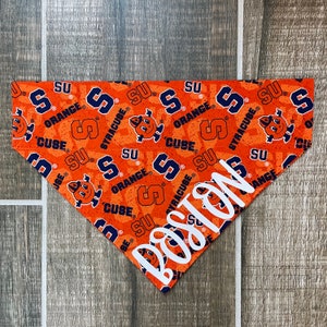 May include: Orange and blue dog bandana with a Syracuse University logo pattern and the word "Boston" written in white.