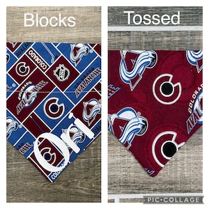 Avalanche Personalized Dog Bandana (Over the Collar) Colorado, Swag, Custom Bandana, Cat Bandana, Slip on Bandana, Dog Scarf, Leash, Gift