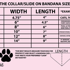 May include: Pink bandana size chart with measurements in inches for XS to XXL sizes. Includes example breed sizes for cats and dogs, such as Chihuahuas, Pugs, and Springer Spaniels. The Roxy's Pup Boutique logo is at the bottom.