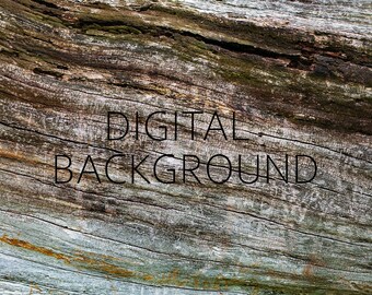 古い木のデジタル背景 | 古い木の幹 (JPEG)