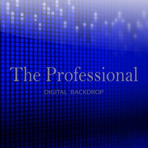 Puede incluir: Un fondo digital con un diseño pixelado azul y blanco. Las palabras "The Professional" se muestran en plata, con "DIGITAL BACKDROP" debajo. El fondo hace una transición de azul oscuro a azul claro.