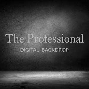 Puede incluir: Un telón de fondo digital con una pared gris oscuro texturizada y un suelo de hormigón. Las palabras "The Professional" se muestran en una fuente gris claro sobre el texto "DIGITAL BACKDROP".