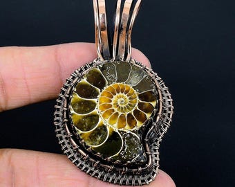 マダガスカル産のアンモナイトの化石シェル、シルバー 925