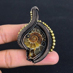 Ammonite Fossil Pendant, Natural Ammonite Fossil Copper Wire Wrap Pendant,  Rare Ammonite Stone Chain Pendant Handmade Jewelry Gifts for Her